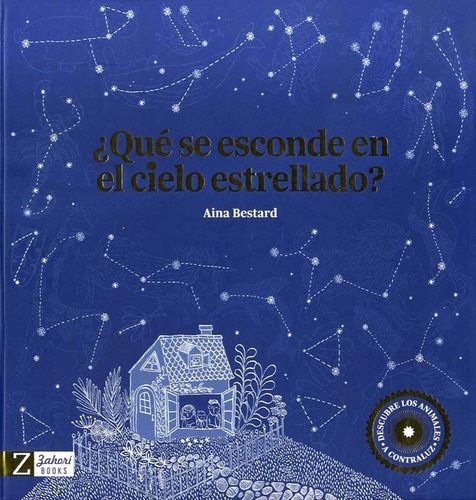 ¿ Qué Se Esconde En El Cielo Estrellado?