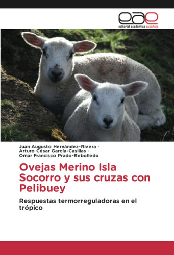 Libro Ovejas Merino Isla Socorro Y Sus Cruzas Con Pel Lcm4