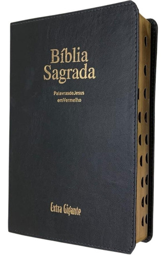 Bíblia Sagrada: Letra Extragigante Com Indice Capa Luxo, De João Ferreira De Almeida. Na Editorial Geografica, Capa Mole, Edição Na Em Português