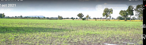 Remate De Fabuloso Lote Para Agricultura, Invernaderos, Rancho O Casas De Descanso. Luz, Agua Y Aire Puro A Tu Disposición.