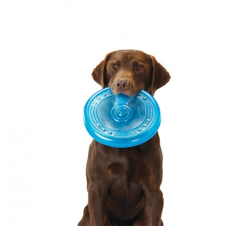Imagen 3 de 4 de Juguete Para Perros Frisbee De Goma