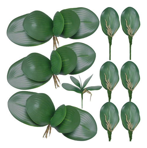 Cnn 10 Unidades Hojas Artificiales Orquídea Phalaenopsis