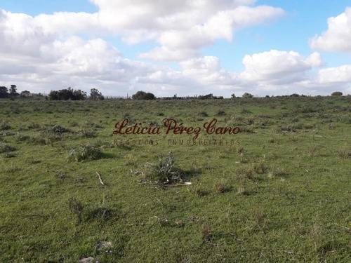 Venta Chacra Jose Ignacio 2 Has - Ref: 19207
