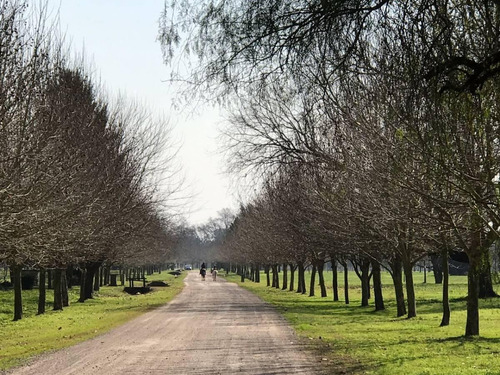 Retasado! - Magnífico Terreno En Estancia Villa María - Canning