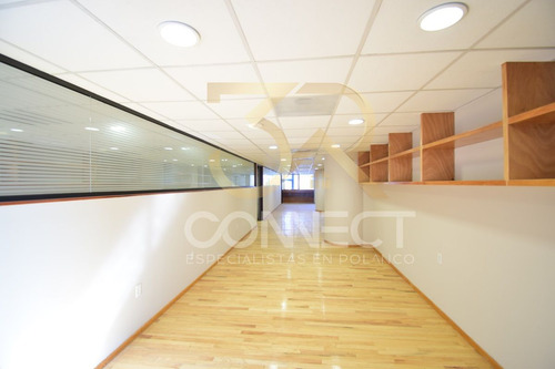 Oficina En Renta En Anzures 15c/3b/1e - Excelente Ubicación - 450m2