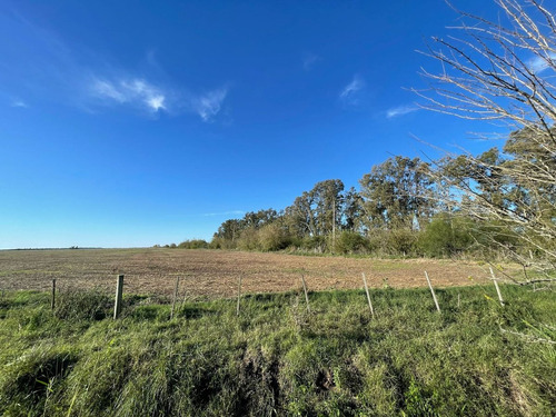 Campo En Venta 80ha Ideal Desarrollo