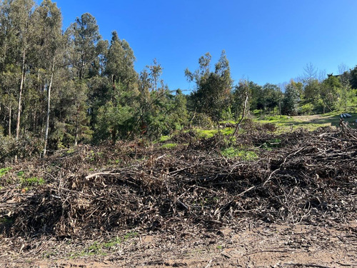 Terreno En Los Pinos, Excelente Conectividad.