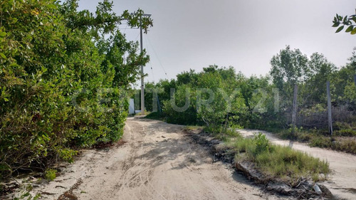 Venta Lote Para Desarrollar Hotel En El Corazon De La Isla Holbox P4068