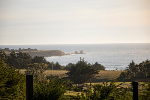 Vista Horizonte Punta De Lobos