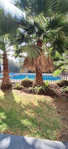 Arriendo Dpto 2d, 2b Macul Centro (95954)