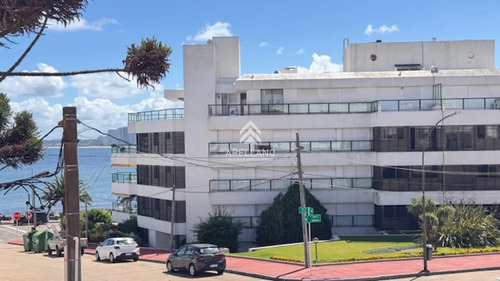 Casa A Pasos De La Rambla Mansa - Apta Para Hostel Y Gastronomía.