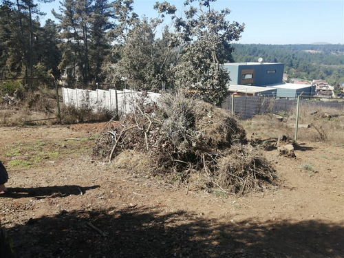 Sitio En Venta Sector Los Pinos, Semi Plano, Pasaje, Reñaca