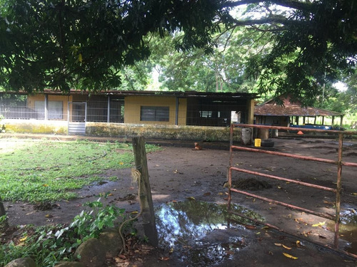 Imagen 16 de 24 de Finca En Barinas A Orilla De La Carretera