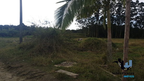 Imagem 4 de 8 de Rural Chacara Com 1 Quarto - 544491-v