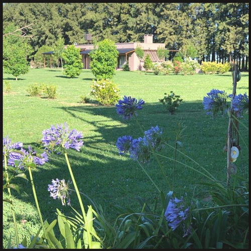 Imagen 2 de 30 de Excelente Campo Casa Quinta En San Antonio De Areco