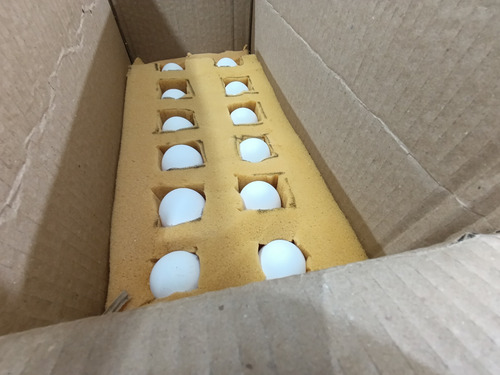 30 Huevos Fértiles Gallinas De Raza Leghorn Americano