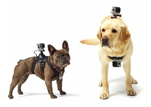 Arnes Ajustable Correa De Perro Para Gopro Hero 11 / 10 / 9 