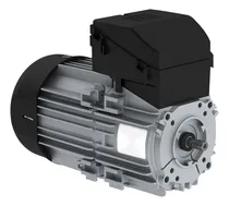 Comprar Motor Trifásico Weg W12 0.25hp 4 Polos 220\u002F380v C\u002Fplatina