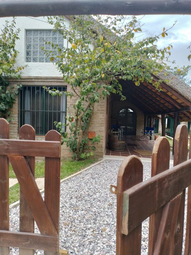 Las Rosas En La Paloma