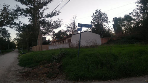 Imagen 2 de 3 de Lote De 272 En Calabria Y Pescadores