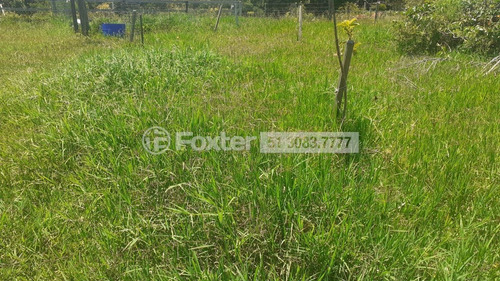 Imagem 15 de 15 de Fazenda / Sítio / Chácara, 2 Dormitórios, 504 M², Sítio São José - 218392