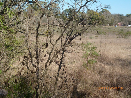 Imagen 3 de 11 de Dos Amplios Lotes En Ruta 11