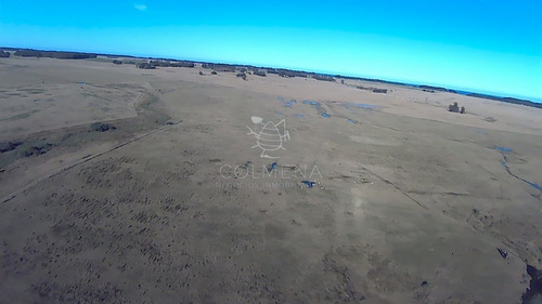 Imagen 24 de 28 de Venta Campo Ideal Para Fraccionar En Chacras Codigo 6003 - Las Garzas
