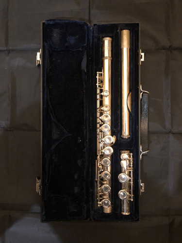 Flauta Transversal Hoyden Hfl-25p - Usada
