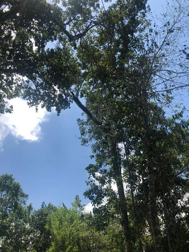 Lote En Venta En La Ruta De Los Cenotes. Qta. Roo.