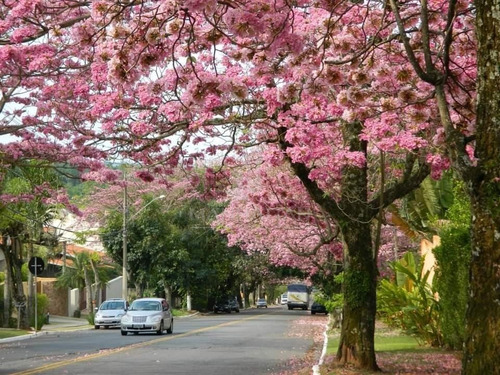 Imagem 20 de 29 de Casa À Venda Em Caminhos De San Conrado - Ca004381