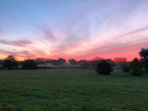 Dueño Directo-club De Campo La Ranita - Manzanares