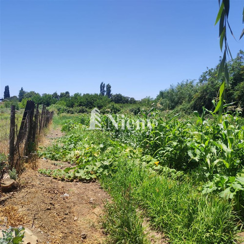 Agrícola En Venta En Malloa