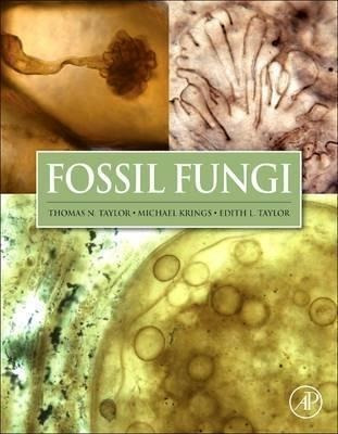 Fossil Fungi - Thomas N Taylor