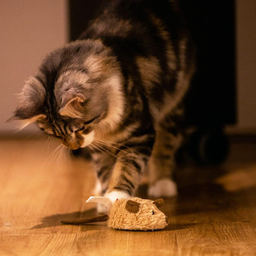 Juguetes Interactivos Para Ejercicio De Gatos Con Sonido Rea