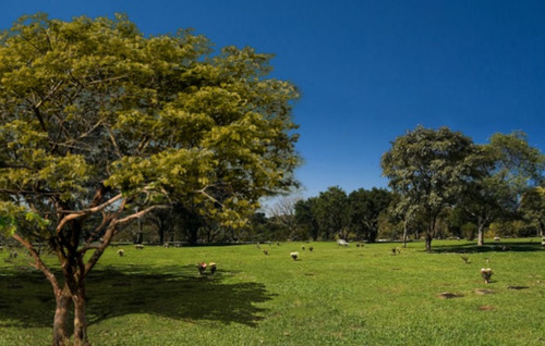 Imagem 1 de 7 de Jazigo Cemitério Parque Iguaçu, Próximo Parque Barigüi