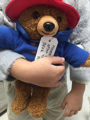/ Mini Oso Paddington De 29 Cm, Muñeco De Peluche Lindo