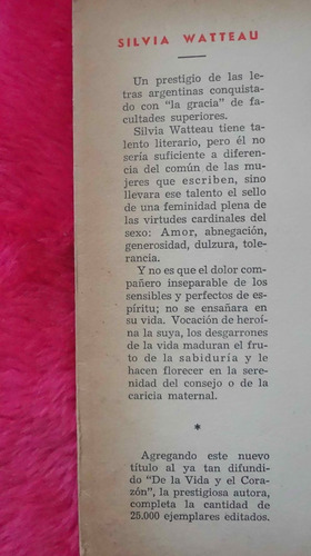 Luz En El Cofre De Silvia Watteau Historia De Amor En 60 Car (Usado)