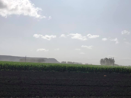 Imagen 13 de 15 de Venta 7 Hectareas Balcarce, Apto Cabañas O Quinta