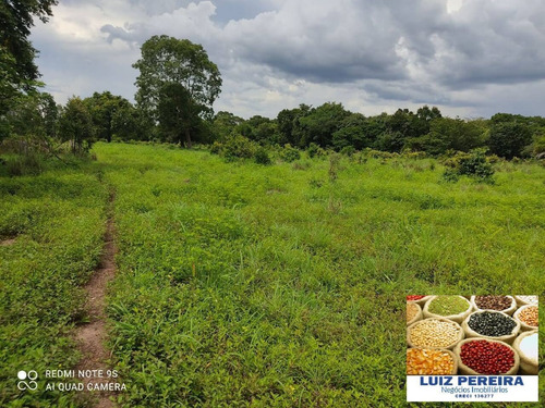 Imagem 11 de 14 de Fazenda À Venda Em Santa Rita Do Pardo - Ms - 650 Hectares (pecuária) - 1657