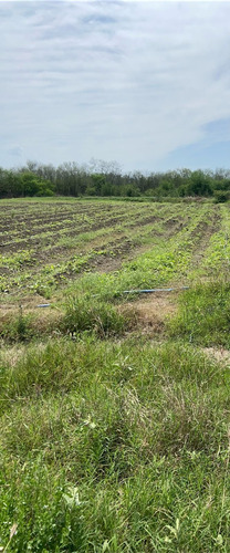 Terreno En Venta En Cadereyta