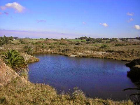 Imagen 7 de 9 de Venta Chacra 30 Has Piedras De Los Indios Colonia Uruguay
