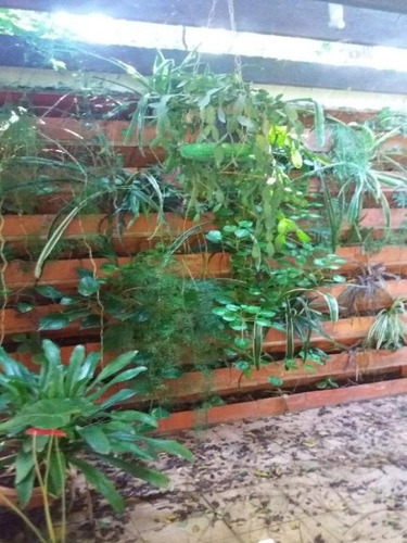 Chácara Com 3 Dormitórios À Venda, 5018 M² Por R$ 1.610.000,00 - Caputera - Sorocaba/sp - Ch0002 - 67639915