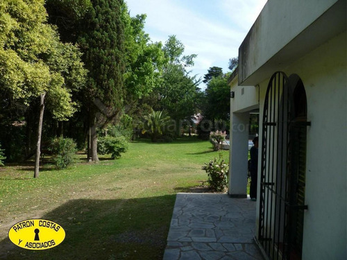 Imagen 4 de 8 de 1502-ml- Casa 2 Plantas 525 M2 En Terreno De 1500 M2 - Luján
