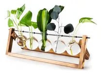 Comprar Maceta De Vidrio Con Soporte De Madera Paquete De 5 Macetas