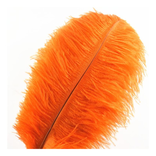 Plumas De Avestruz Para Manualidades - 50pcs 15-70cm - Naran