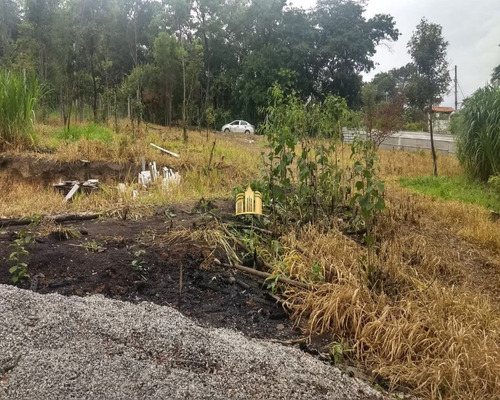 Imagem 5 de 11 de Chácara Em Esmeraldas - St00139 - 69925233