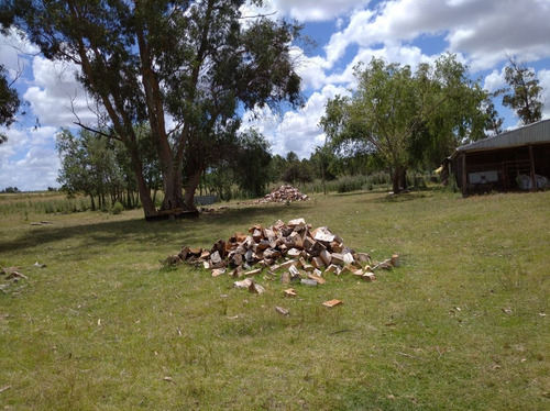 Chacra De 13 Hectáreas Con Casa Y Cañada