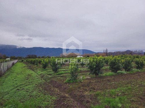 Venta De Parcela En Peumo