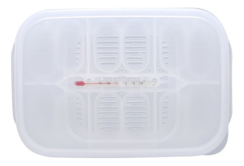 Incubadora De Huevos De Reptiles, Lagartos Serpientes Caja D
