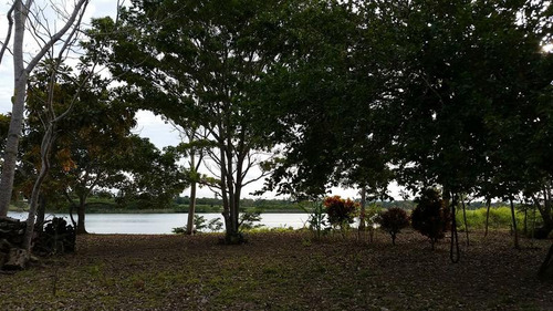 Venta Terreno 4,277 M² Juana Moza Frente Al Rio Tuxpan Veracruz
